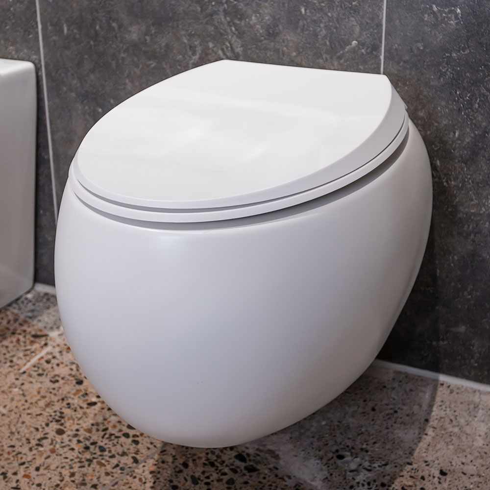 Fienza Rak Cloud Wall Hung Toilet Pans - White