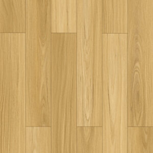 Blackbutt LM001
