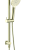 Round Dual Head Shower Set Brushed Gold