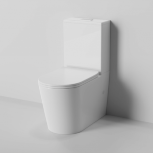 Mezo Back to Wall Rimless