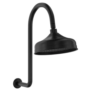 Fienza Lillian Shower Arm Set - Electroplated Matte Black
