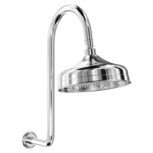 Fienza Lillian Shower Arm Set - Polished Chrome
