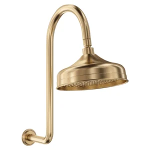 Fienza Lillian Shower Arm Set - Pvd Urban Brass