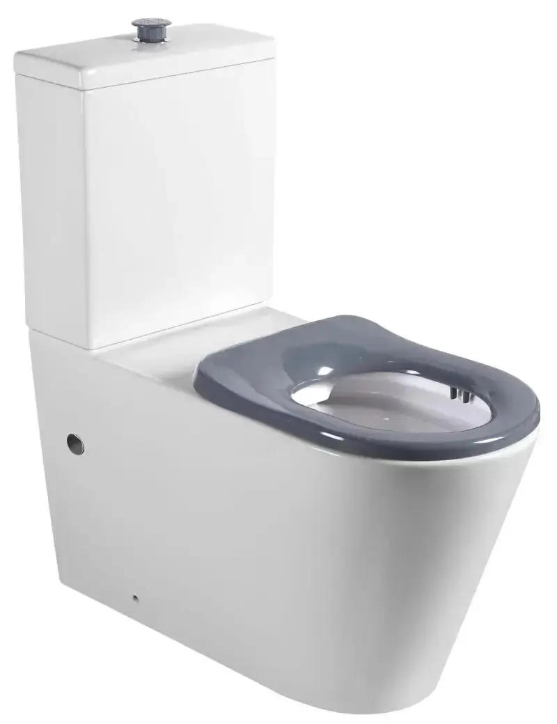 Cara Care Back To Wall Rimless Toilet Suite - White - Image 2