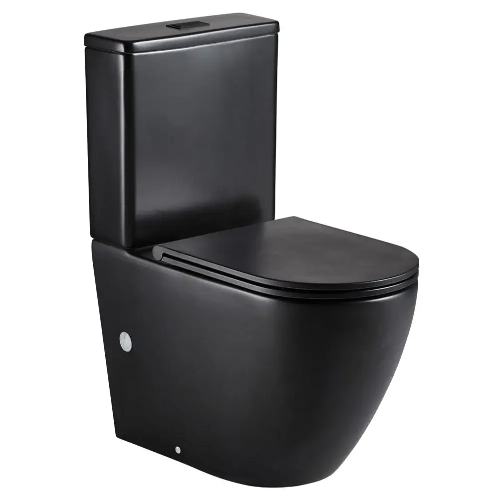 Fienza Aluca Back To Wall Toilet Suite - Black