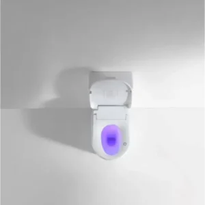 Kare Smart Electric Toilet Bidet Seat