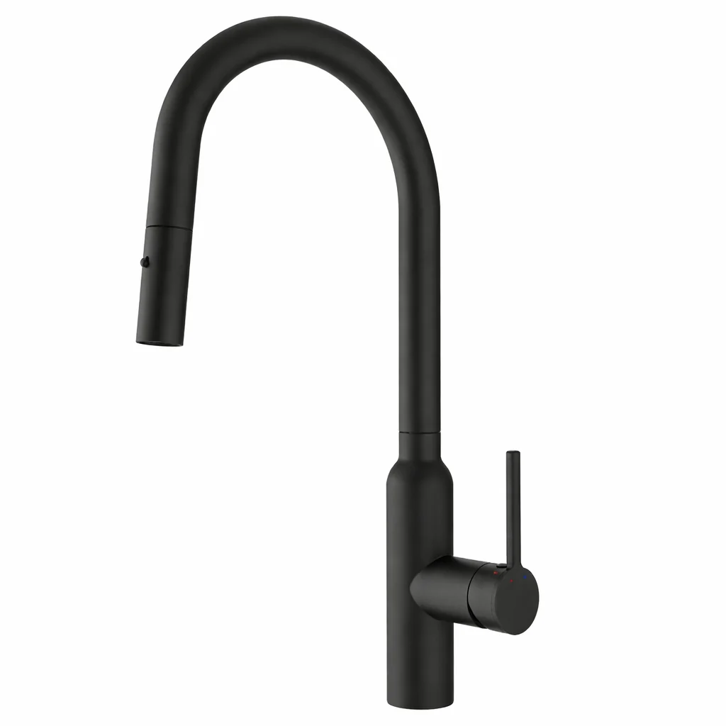 Cary Round Matte Black Pull Out Kitchen Mixer