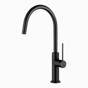 Black Standard Kitchen Mixer